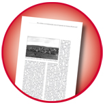 Layout-Bild Layout-Bild